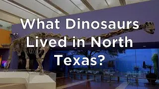 What Dinosaurs Lived in North Texas? (PK - 2nd Grade)