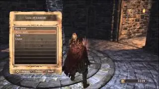 Dark Souls II Beginners Guide Part 14: Felkin the Outcast