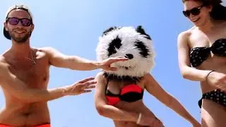 STHLM Panda - PANDA ISLAND (Dance Like a Panda!)