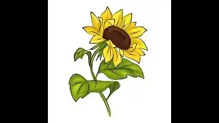 How to draw flowers Sunflower/ Как рисовать цветы, подсолнух.