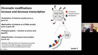 Alcohol and Epigenetics