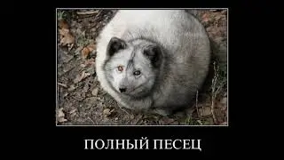 Попал на двигатель для авто