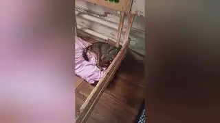 Комната до уборки и после - это комната где живут самые тяжёлые инвалиды.