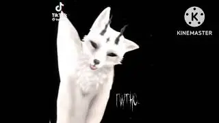 Wild Craft Meme / Dumb / Resumindo o vídeo é do tik tok