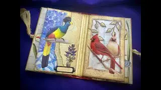 Whimsical Birds Little Altered Book - Episode 1
