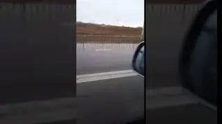 Сбили насмерть женщину. Бурятия