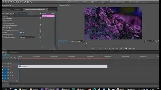 Эффект Solid Composite  Premiere Pro