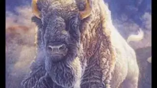 James Brown - THE WHITE BUFFALO
