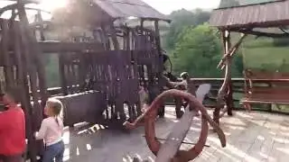Дети в Карпатах- горы,цветы,дети...