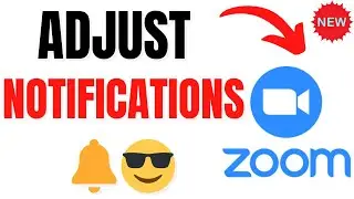 How to Turn Off & Adjust Notifications on Zoom App