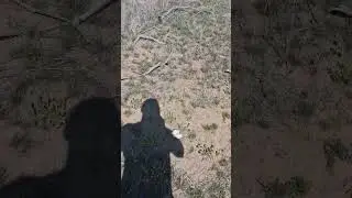 собираем грибы в Казахстане