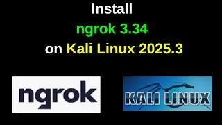 How to Install latest version ngrok 3.34 on Kali Linux 2025 3/2025