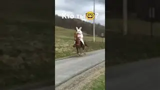#позитив #юмор