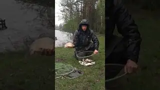 Feeder fishing. Catch on the Chigirin reservoir