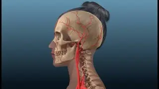 Magnesium Treatment for Migraine Headaches