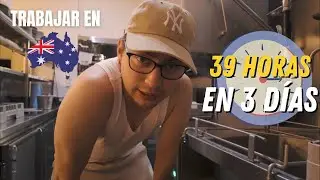 LA REALIDAD DE TRABAJAR EN AUSTRALIA