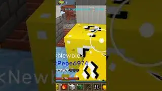 Вопросы от подписчиков в блокмен го/blockman go