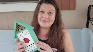 Releasing 1500 ladybugs in the garden to fight aphids and other pests ~ new ladybug house
