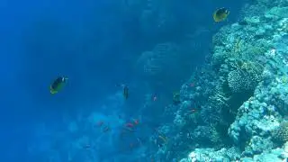 Шарм эль шейх пляж El Fanar