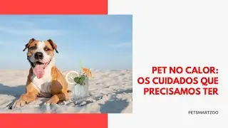Dicas para Cuidar do Seu Melhor Amigo Pet no Calor #pets #cães #filhotes #gatos #bichinhosfofos