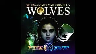 Selena Gomez,Marshmello-Wolves(Ekort Remix)