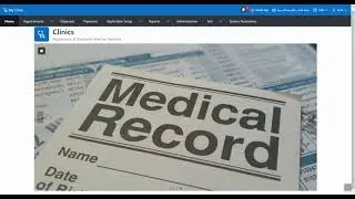 2  Medical Overview