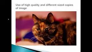 Cs420 Use of high quality and different sized copies of image  lecture 3 week 6