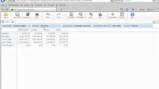 IBM Cognos Express Advisor Demo posted by nexDimension Technology Solutions