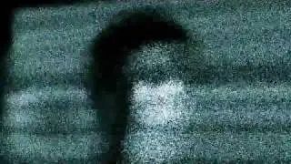 Face dispersion