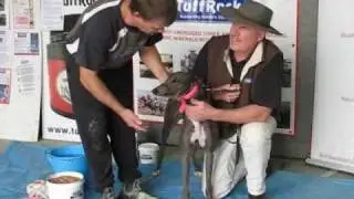 Steve Interviews Terry Priest