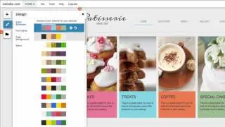 Color Schemes