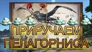ARK ПЕЛАГОРНИС