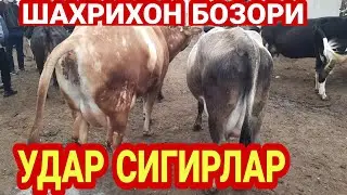 ШАХРИХОН МОЛ БОЗОРИ 2021/SHAXRIHONMOL BOZORI 2021/ANDIJON MOL BOZORI 2021/АНДИЖОН МОЛ БОЗОРИ 2021