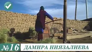 Жогорку Кеңештин депуттатыгына талапкер Дамира Ниязалиева