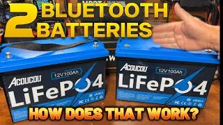 Dual Acoucou 12v 100ah Lifepo4 Batteries - Waterproof + Bluetooth