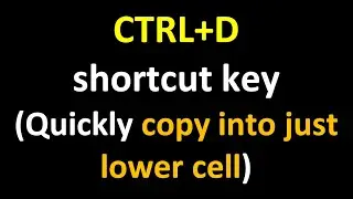 CTRL+D shortcut key (Quickly copy into just lower cell)