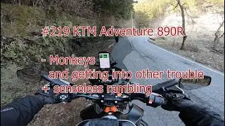 #219, First ride on the KTM Adventure, monkeys and other trouble