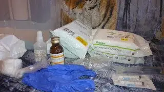 Preparing for the birth of Fanya the cat