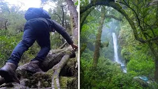 Photographing a hidden waterfall in the New Zealand rainforest