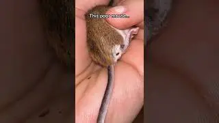 Do you feel itchy after watching this? 😅