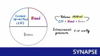 USMLE Step 1 - Нейроанатомия: доктрина Монро - Келли
