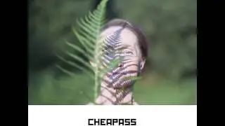 cheapass video for inst