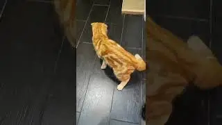 Доча маму целует
