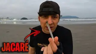 COMO EVITAR JACARÉ NO BECK
