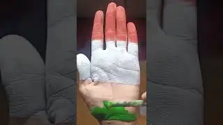 Indian flag❤ Drawing on Hand 