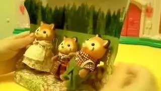 Мои сильвашки