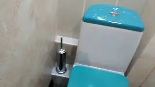 Туалет в завершении  mp4