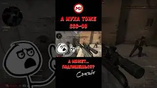Муха гавно #shorts #marmok #ксго #нарезки