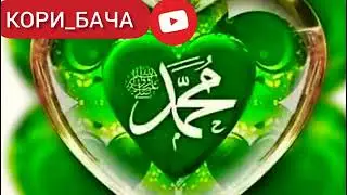 БО САДОИ КОРИ АЛИШЕР ЯК ШАБЕ МАЧНУН НАМОЗАШРО ШИКАСТ