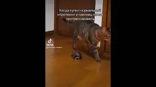 #1lifting